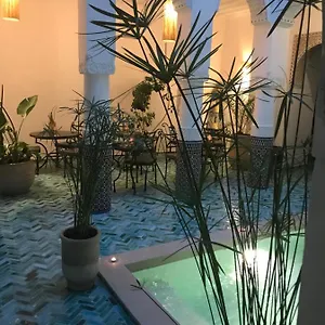 Dollar Des Sables & Marrakesch